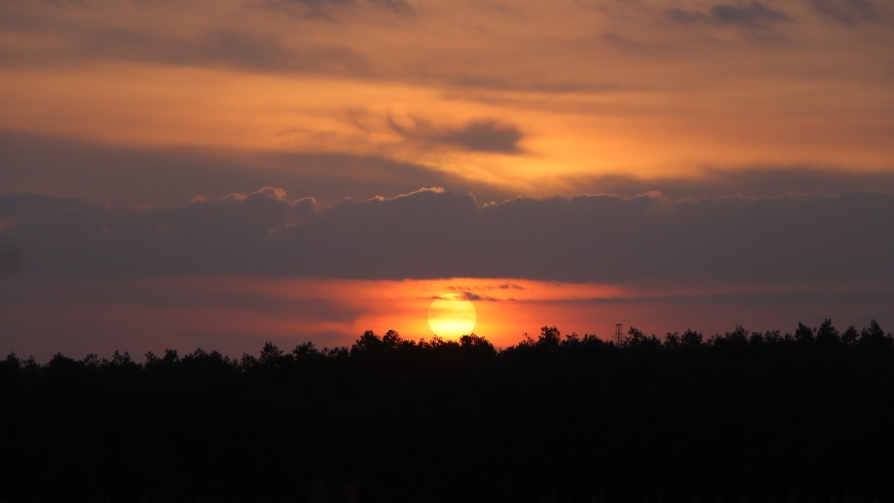 Яркое солнце садится за лесом