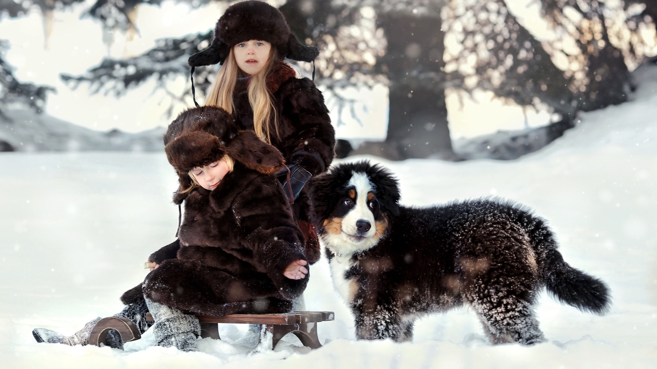 Дети на санках со щенком зимой