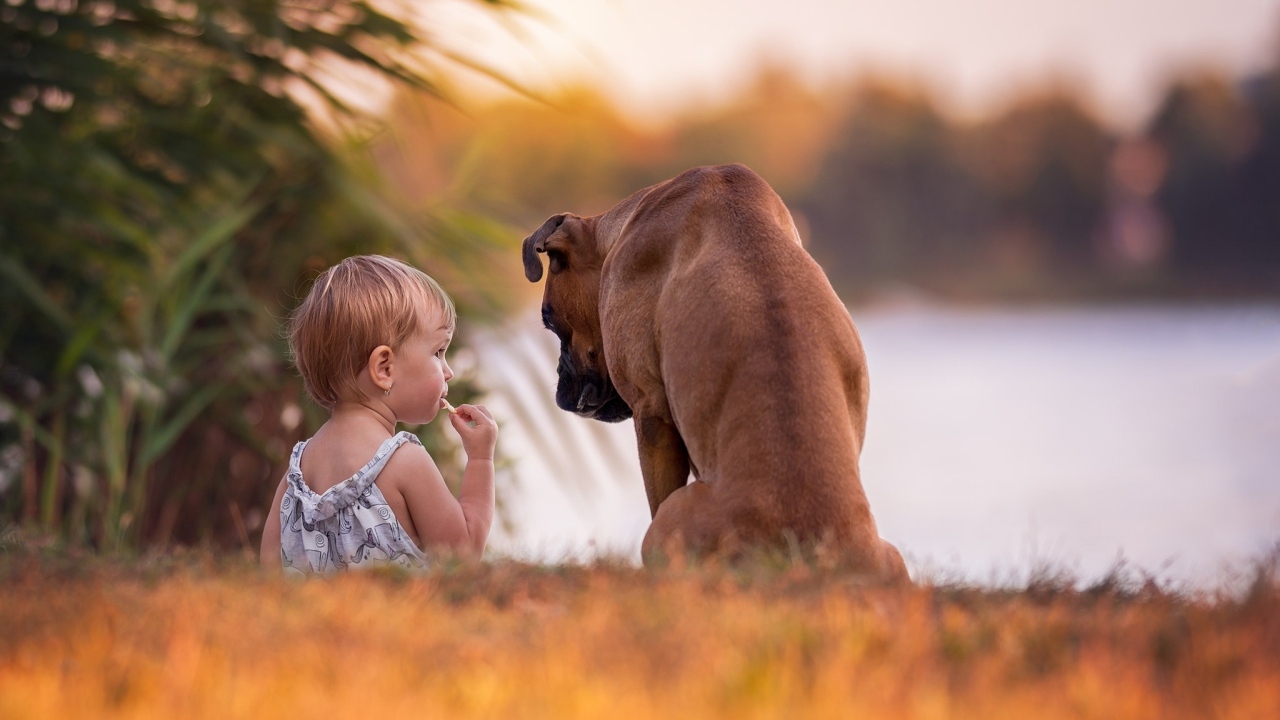 Девочка с собакой на берегу реки