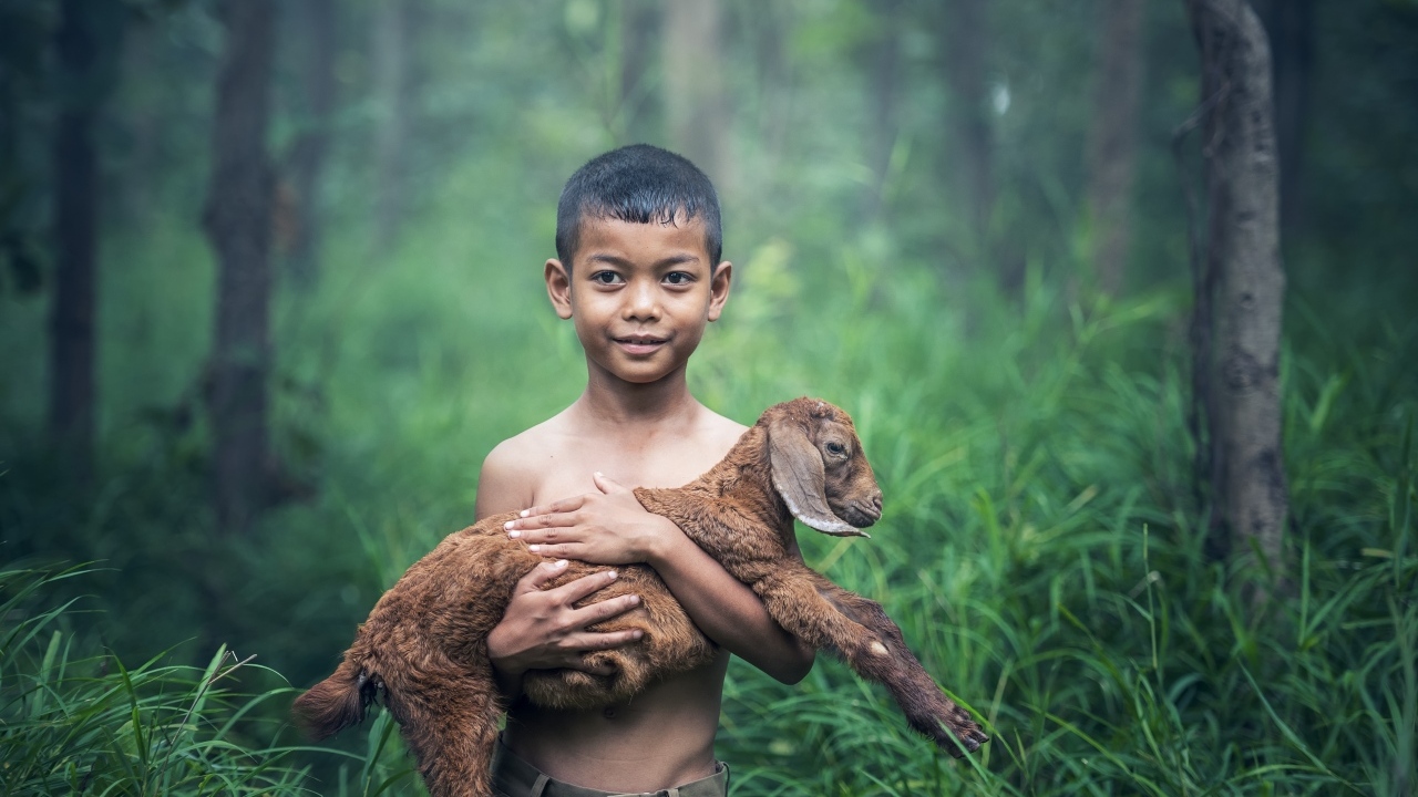 Маленький мальчик с ягненком на руках