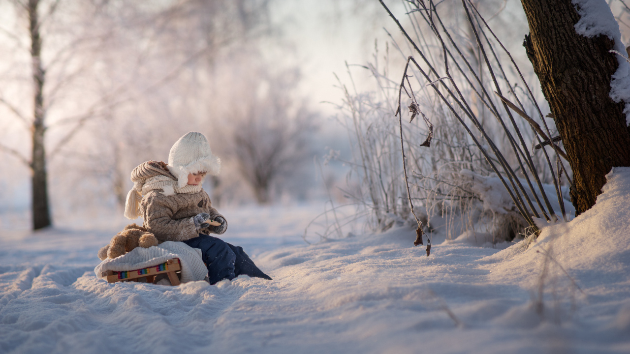Маленький ребенок на санках в зимнем лесу 