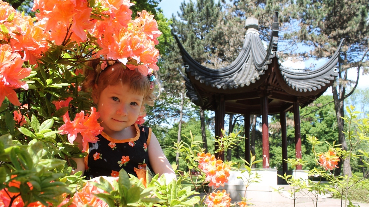 Маленькая девочка в цветах