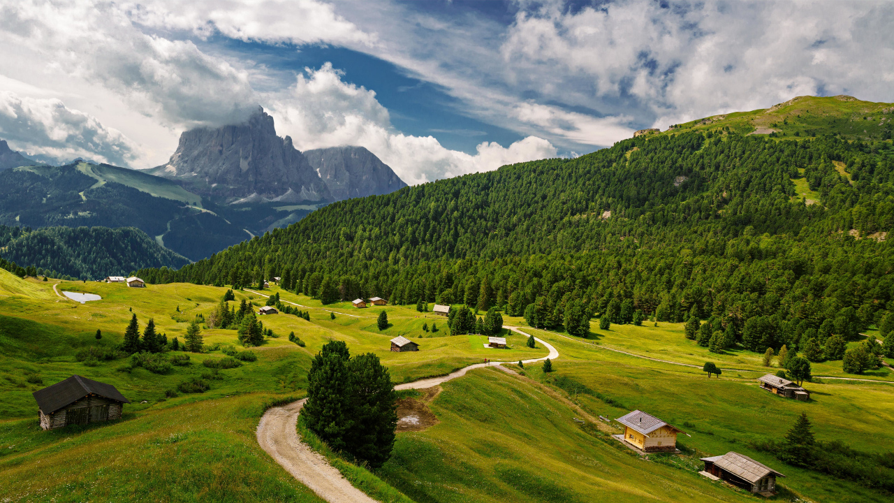 View of the forest and the alps under white clouds, Italy