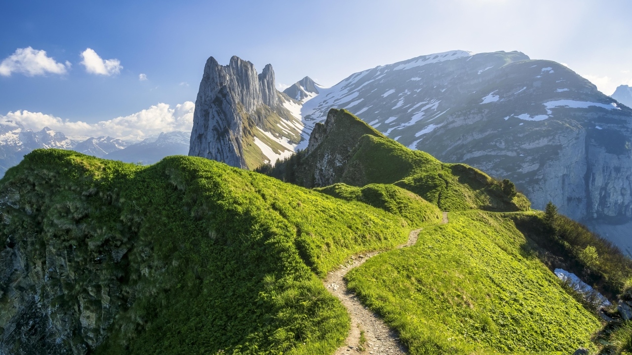 Красивый вид на покрытые зеленью Швейцарские Альпы