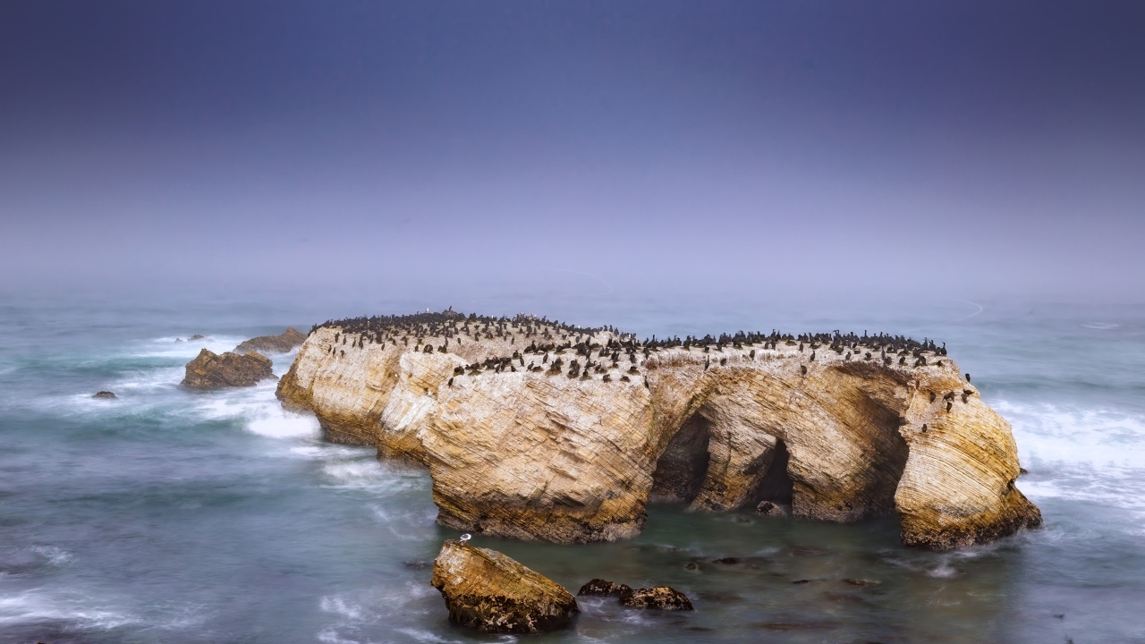 Penguins on a rock with a stormy sea