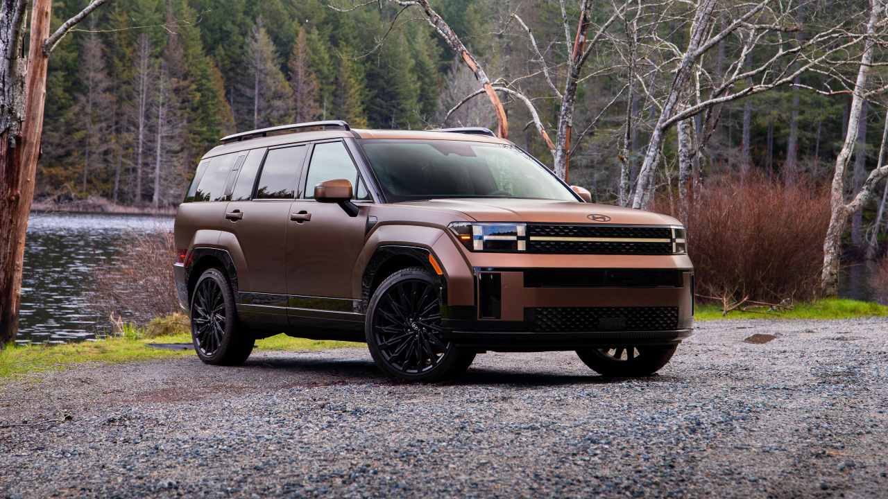 Внедорожник Hyundai Santa Fe Calligraphy 2024 года