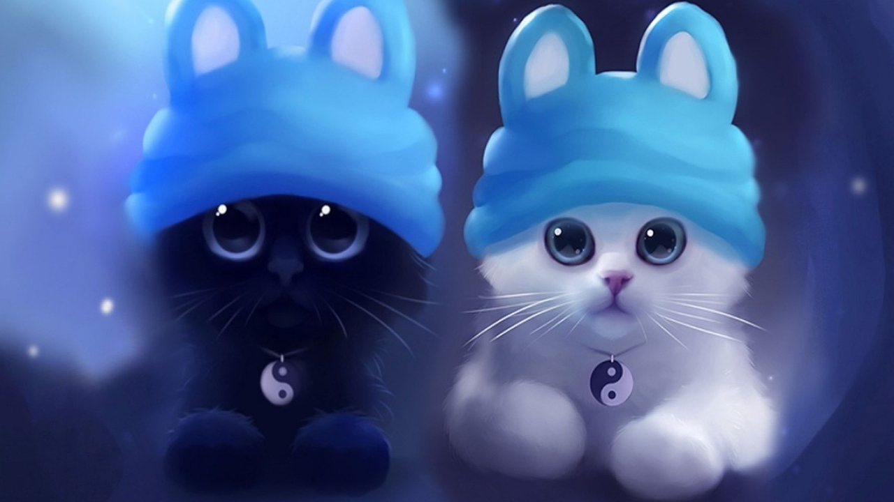 Два котенка инь и янь в шапках