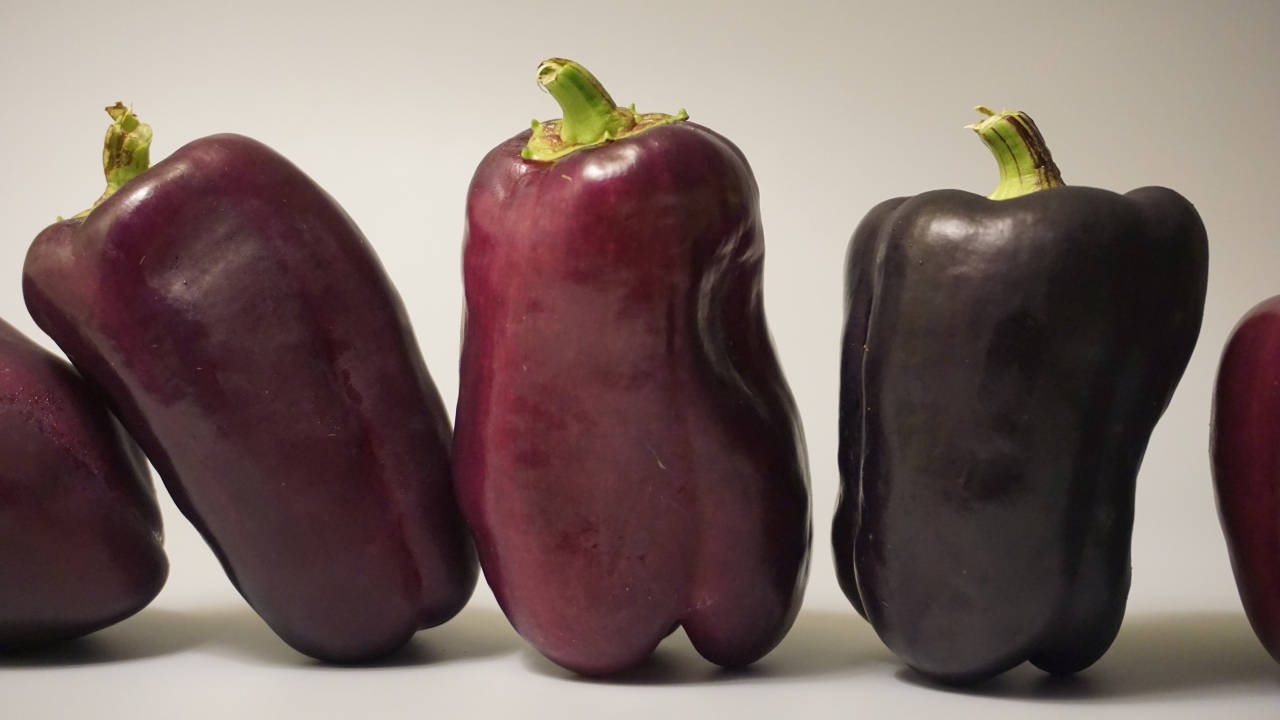 Баклажаны на сером фоне