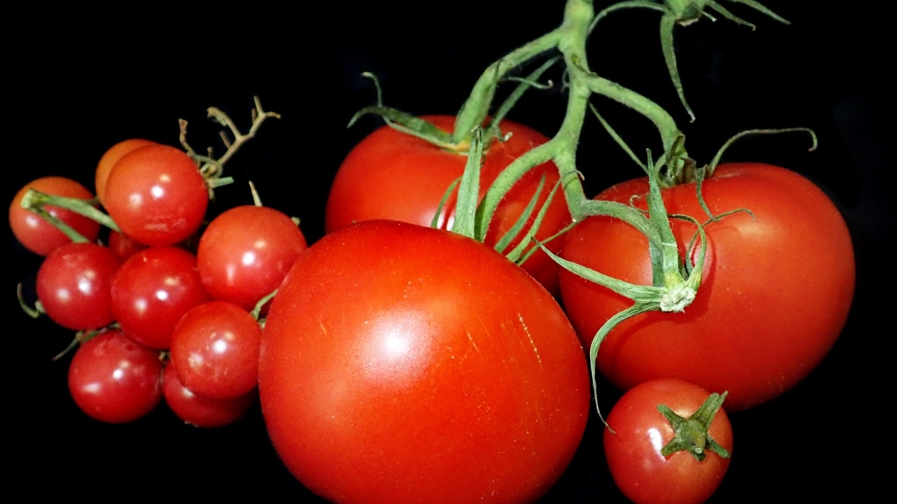 Большие помидоры и помидоры черри на черном фоне