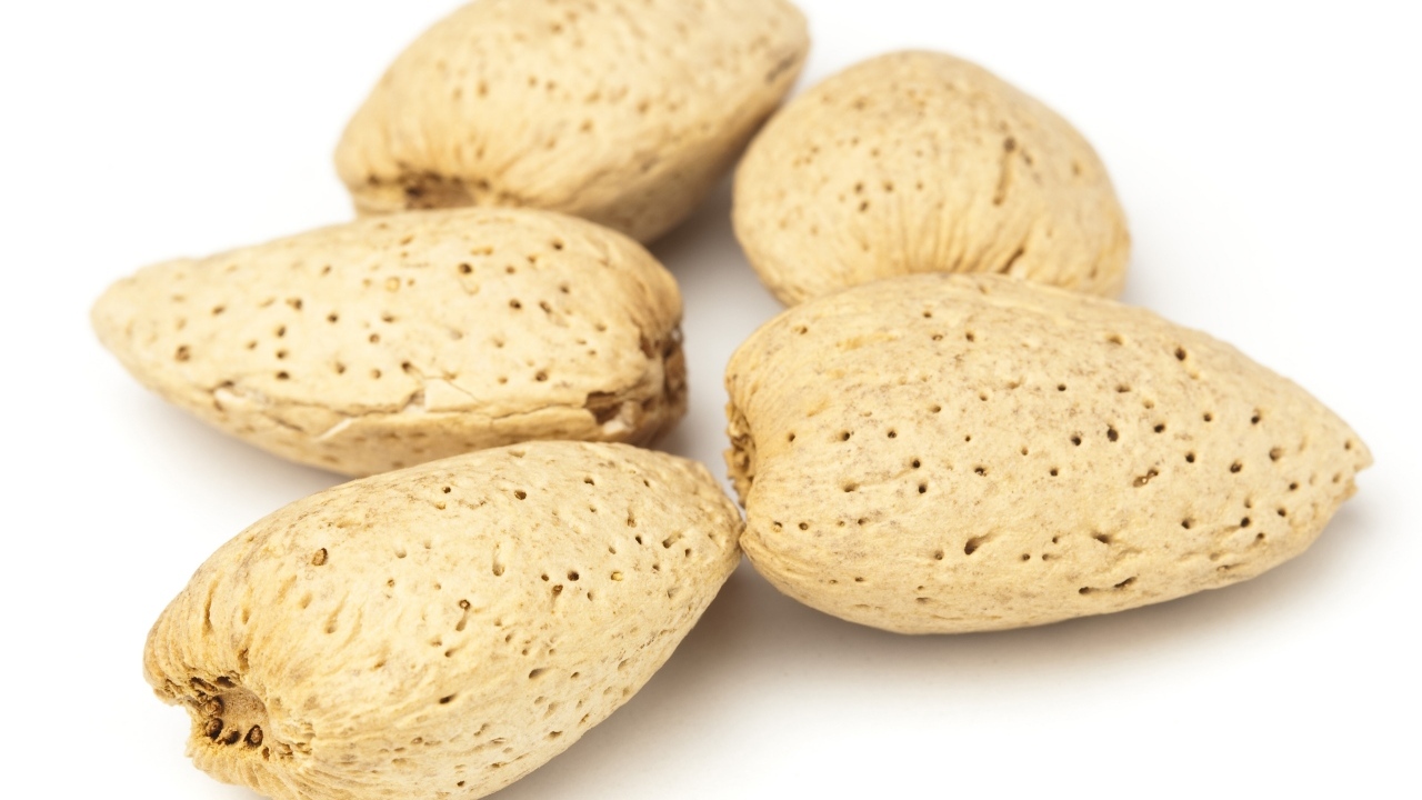 Большие миндальные орехи в скорлупе