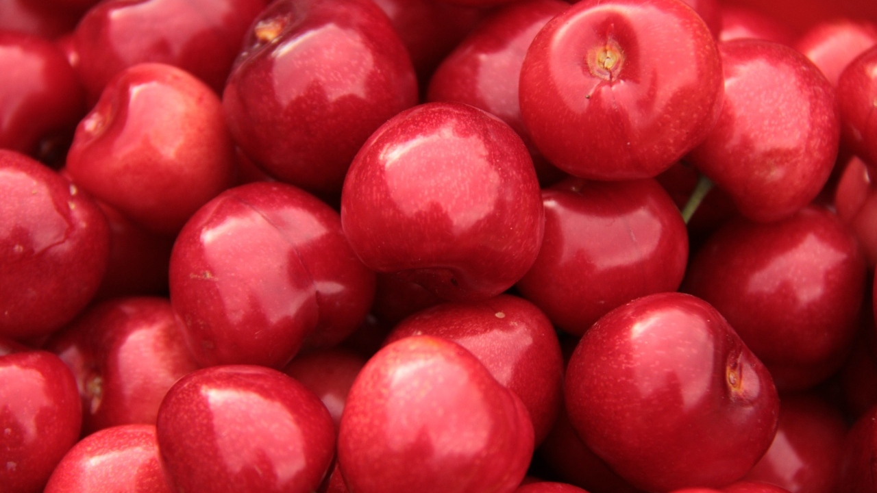 Спелые красные черешни крупным планом