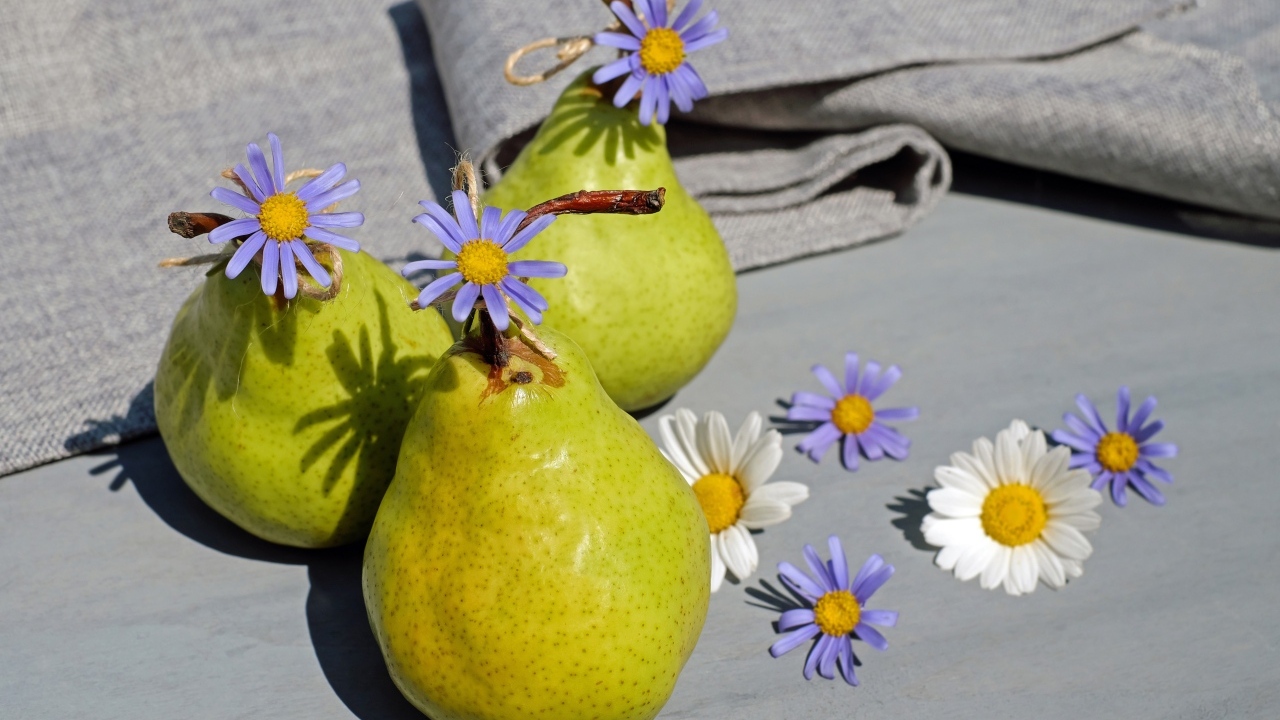 Три зеленые груши с цветами