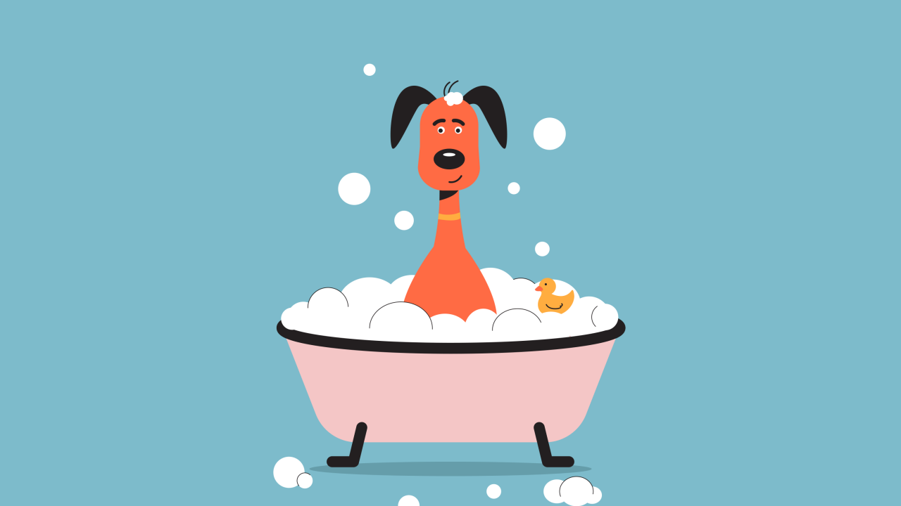 Собака в тазике с пеной на голубом фоне