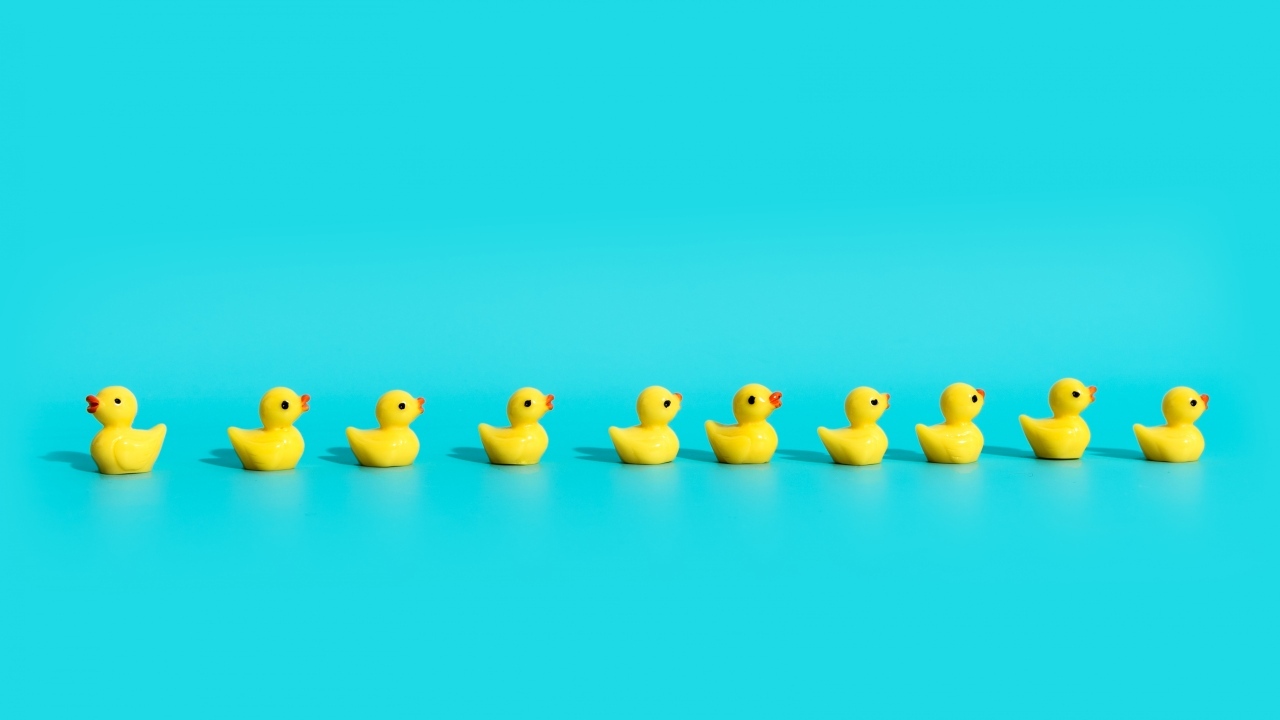 Маленькие игрушечные утята на голубом фоне