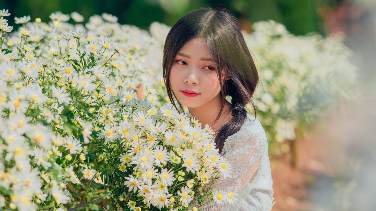 Нежная девушка азиатка с цветами ромашки