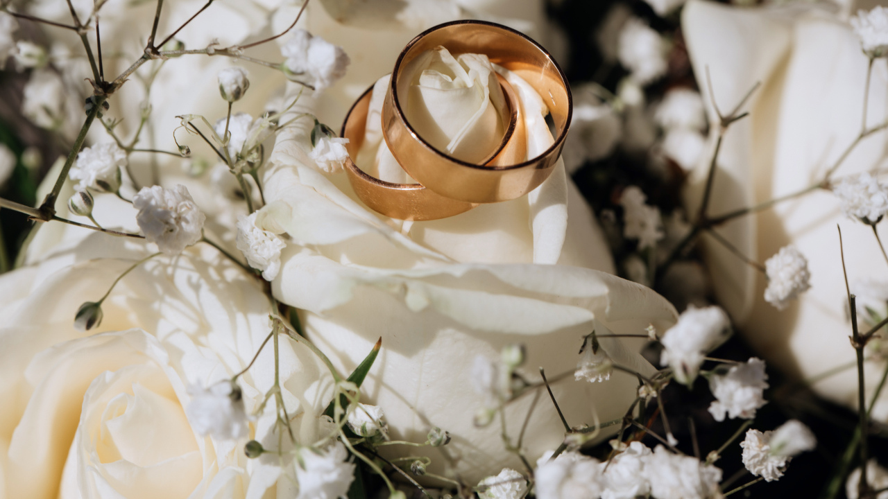 Два золотых обручальных кольца на белых розах 