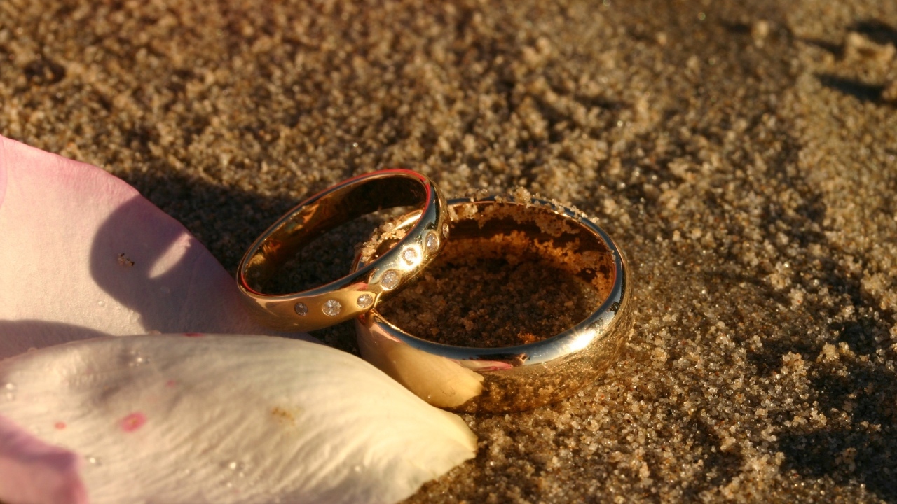 Два обручальных кольца с лепестками на мокром песке