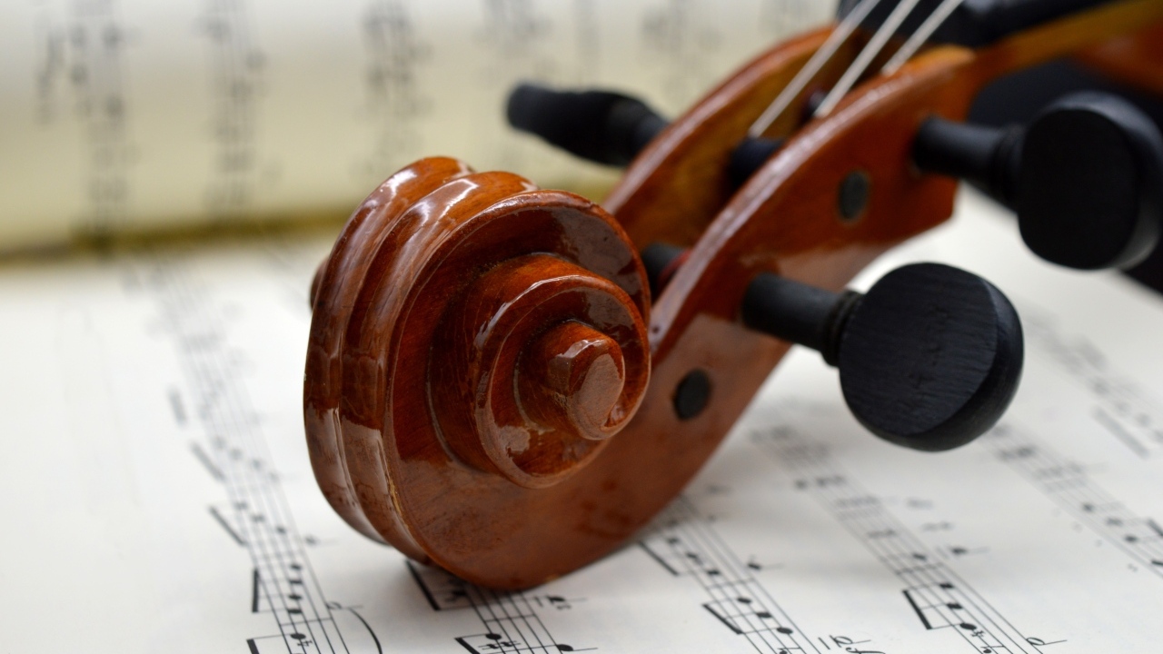 Скрипка с нотами крупным планом