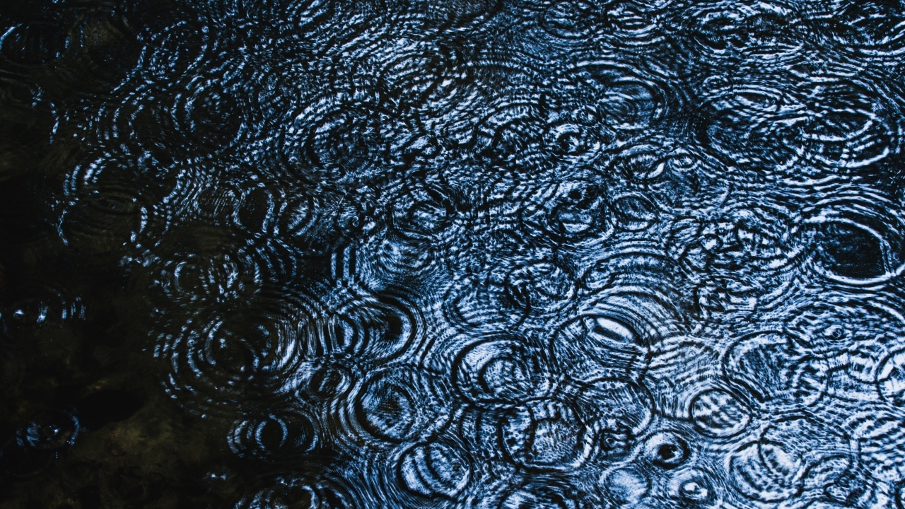 Круги от дождя на воде