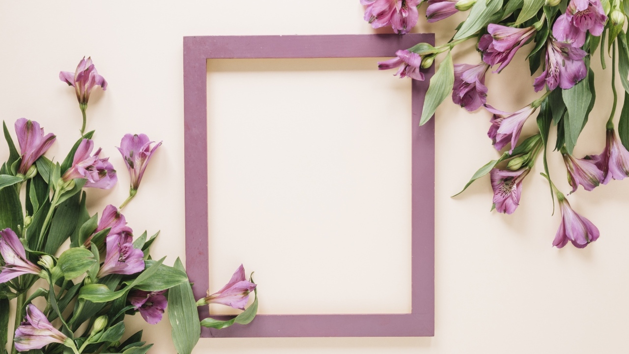 Цветы альстромерии на белом фоне с рамкой