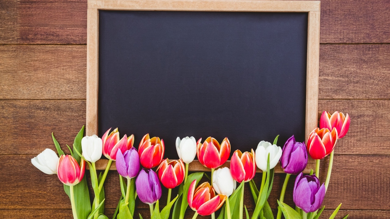 Красивые разноцветные тюльпаны с рамкой на деревянном столе