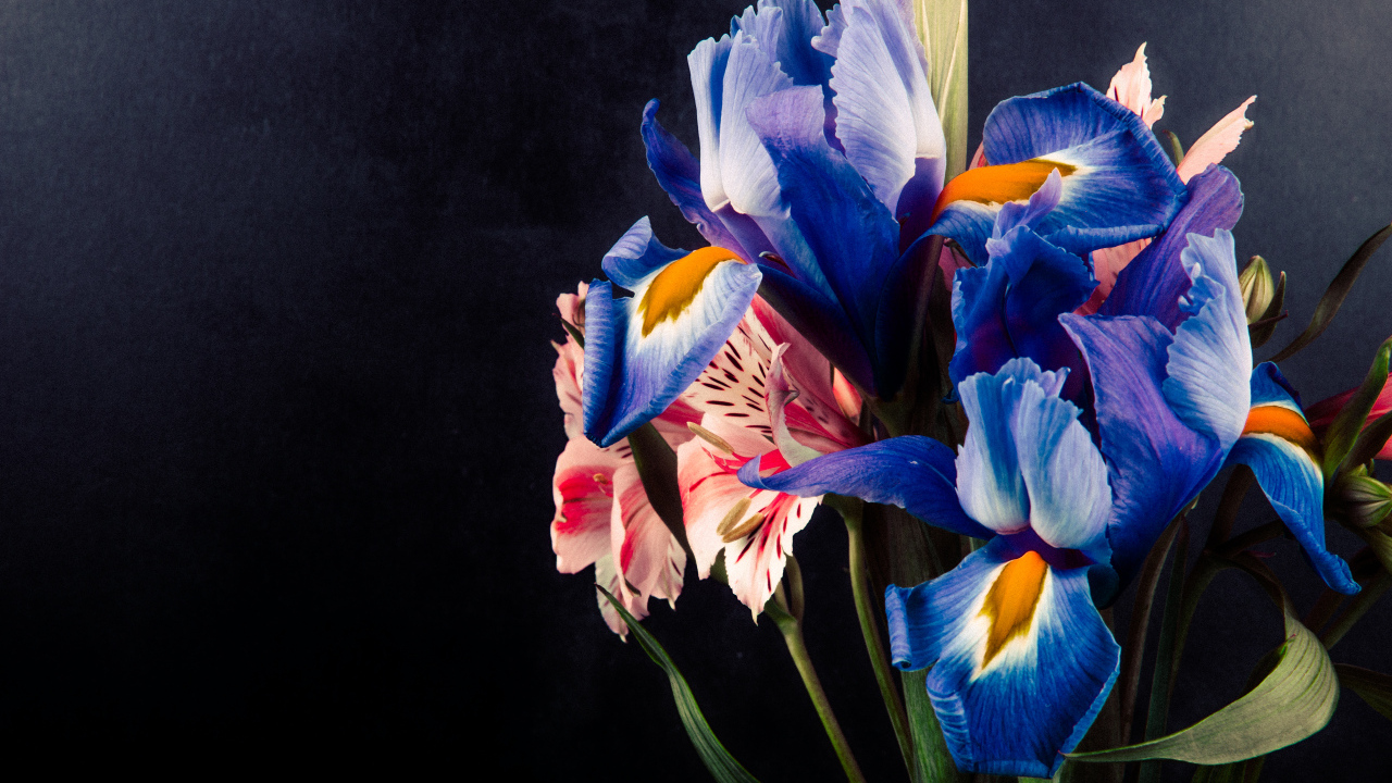 Букет цветов ириса и альстромерии на черном фоне