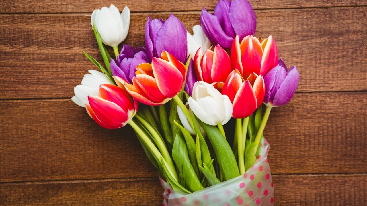 Букет разноцветных тюльпанов в пакете на деревянном фоне