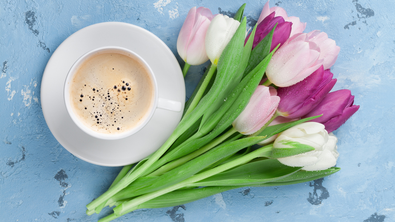 Букет разноцветных тюльпанов с чашкой кофе на голубом столе