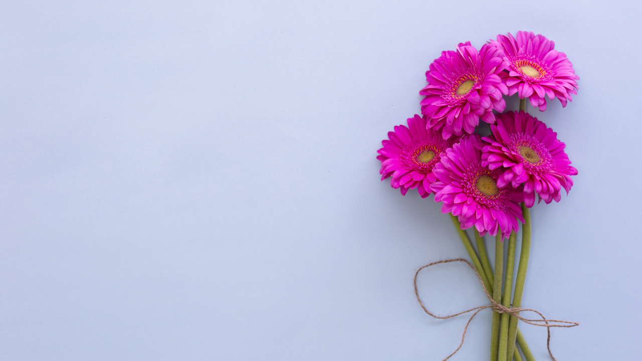 Букет розовых гербер на сером фоне, шаблон открытки