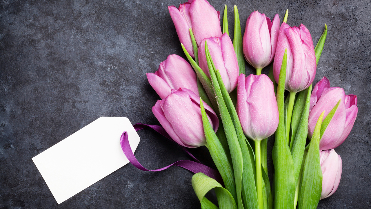 Букет розовых тюльпанов с открыткой на сером фоне