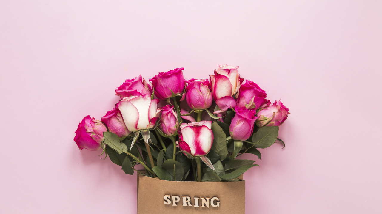 Букет роз в бумажном пакете на розовом фоне весной