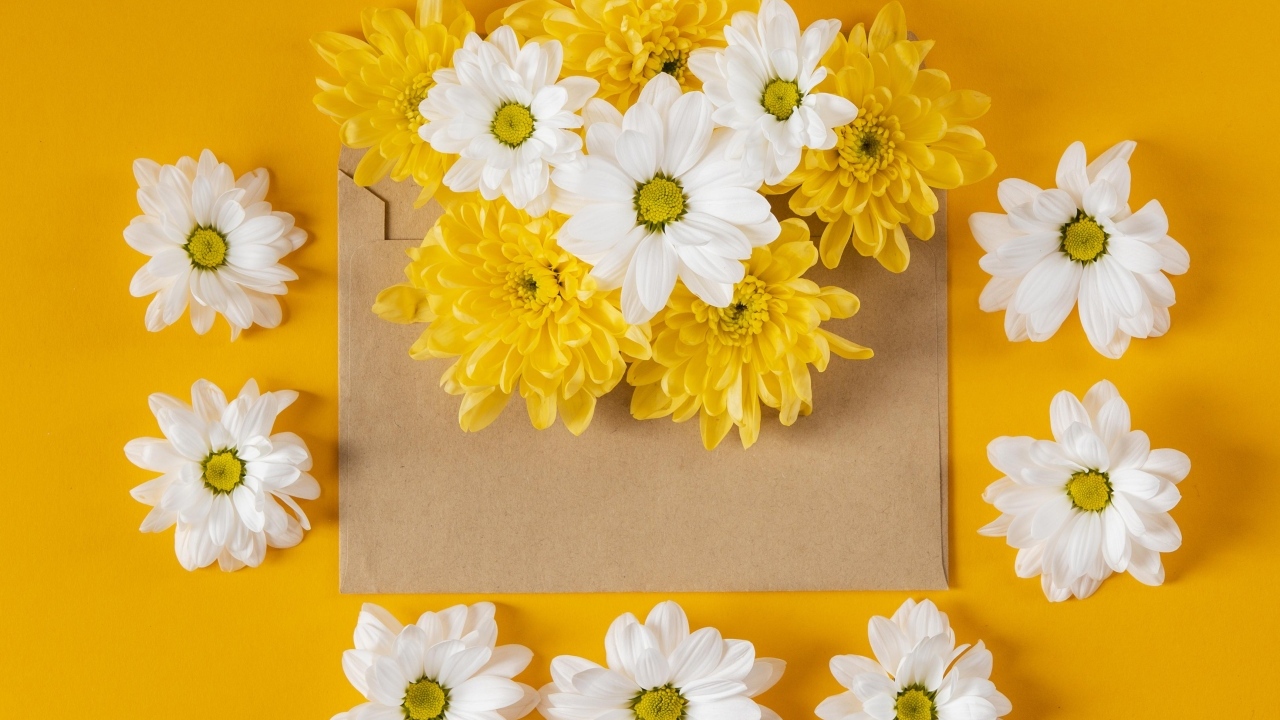 Конверт с желтыми и белыми хризантемами на желтом фоне