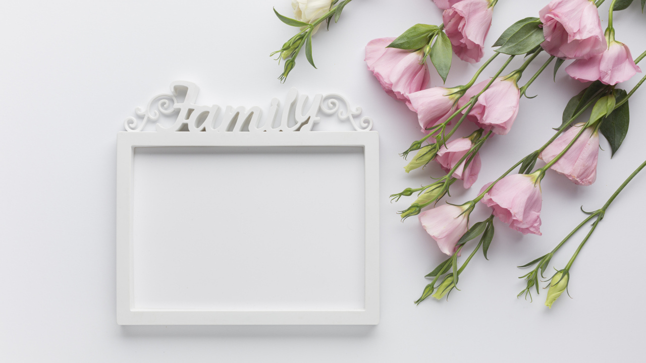 Эустома  с рамкой на белом фоне, шаблон для открытки