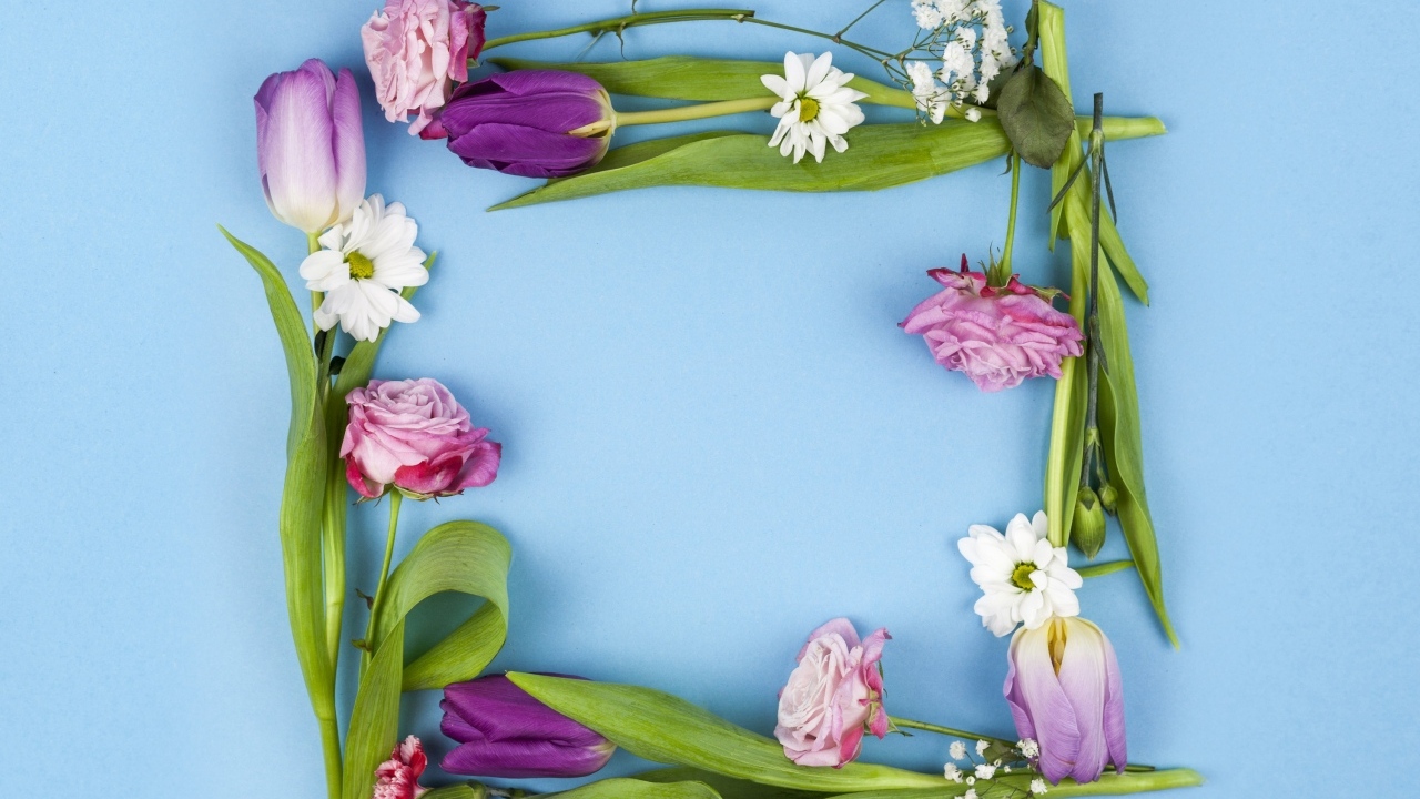 Рамка из разных цветов на голубом фоне