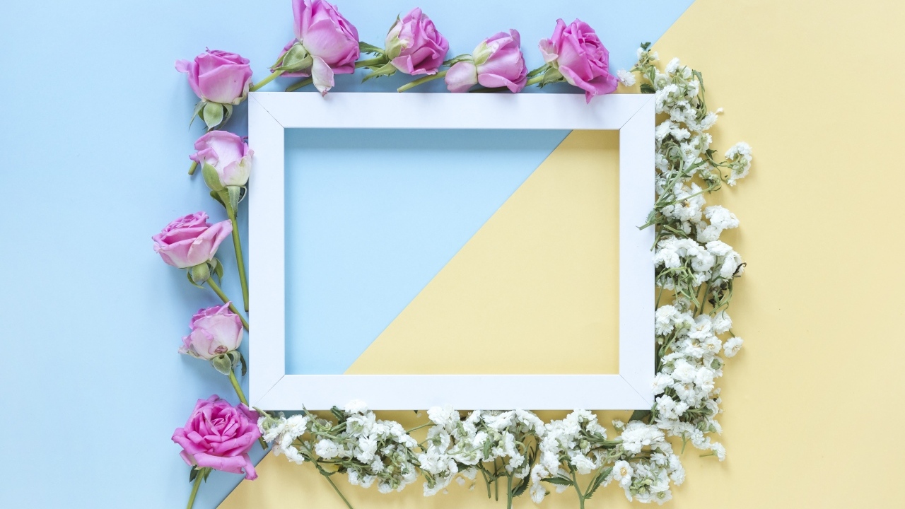 Рамка с цветами розы и гипсофилы 