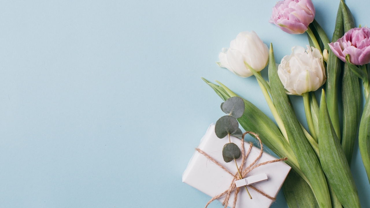 Подарок с тюльпанами на голубом фоне