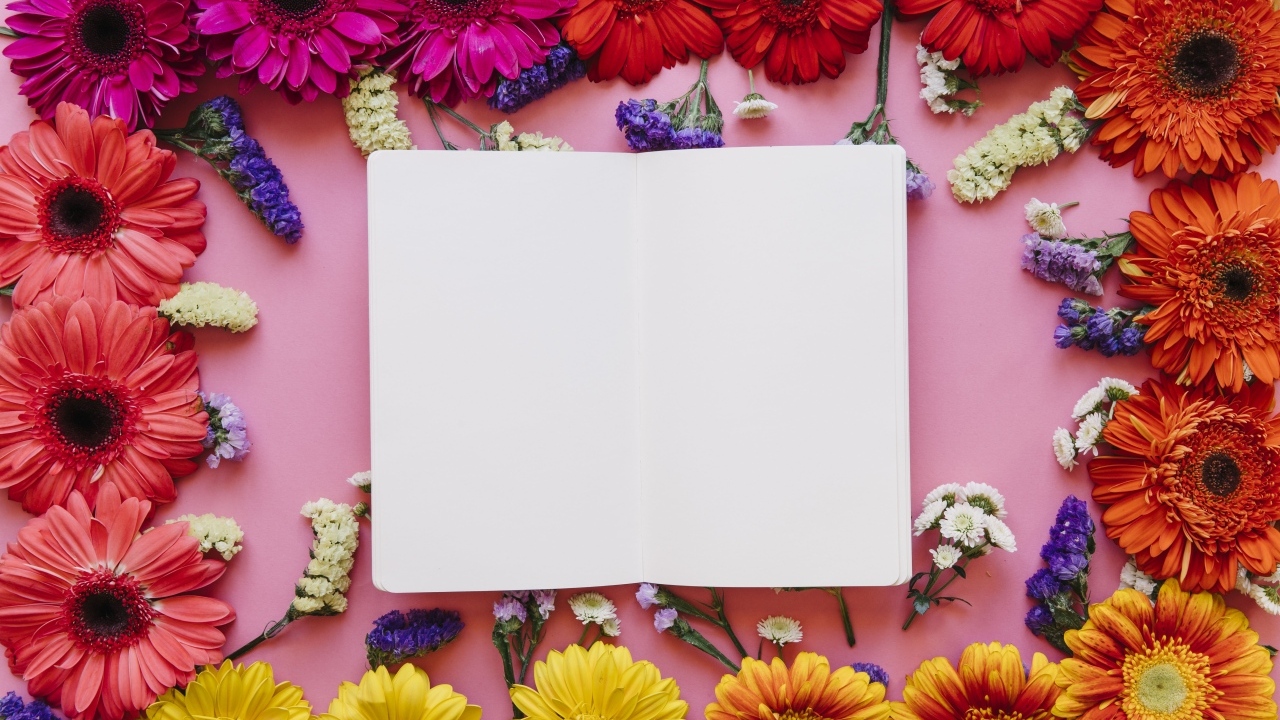 Розовый фон с герберами и белым листом для открытки