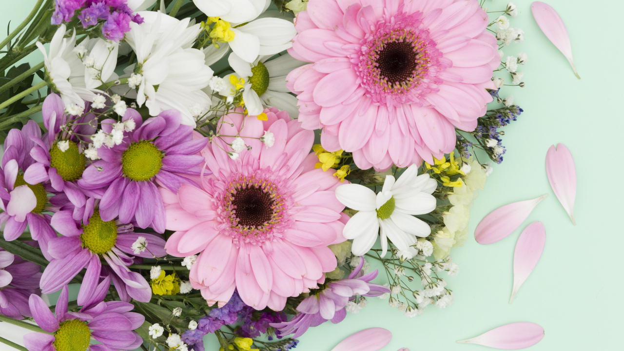 Розовые герберы и цветы хризантемы на голубом фоне