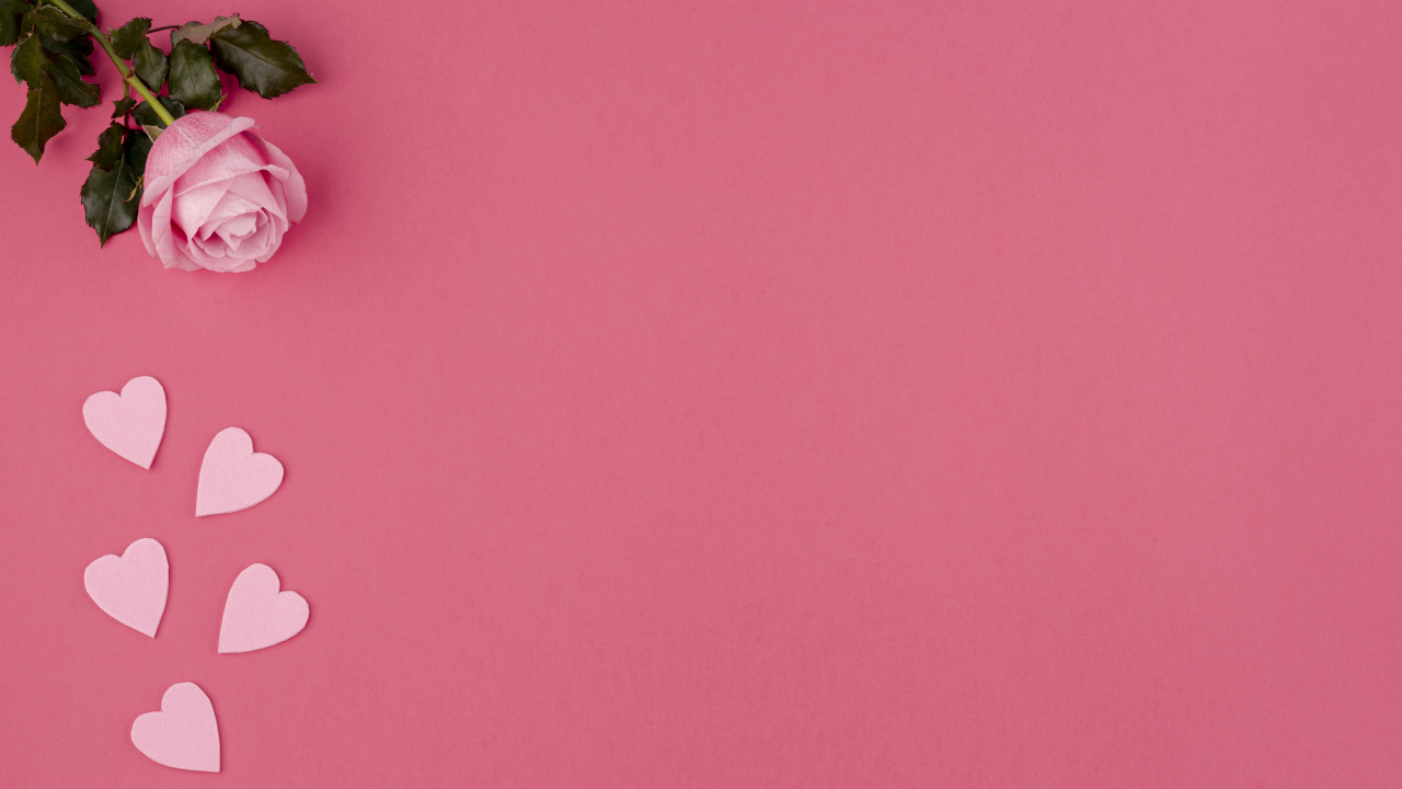 Роза с сердечками на розовом фоне, шаблон для открытки