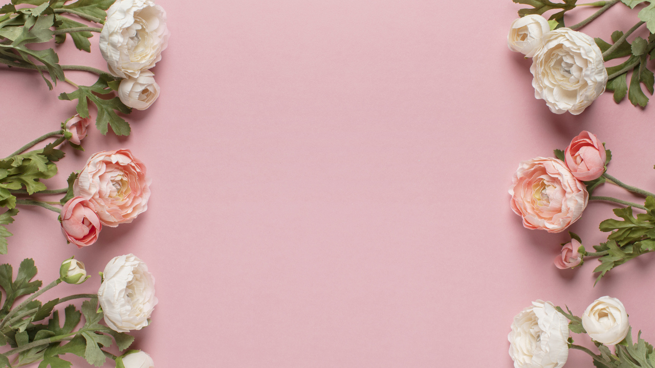 Белые и розовые лютики на розовом фоне, шаблон 