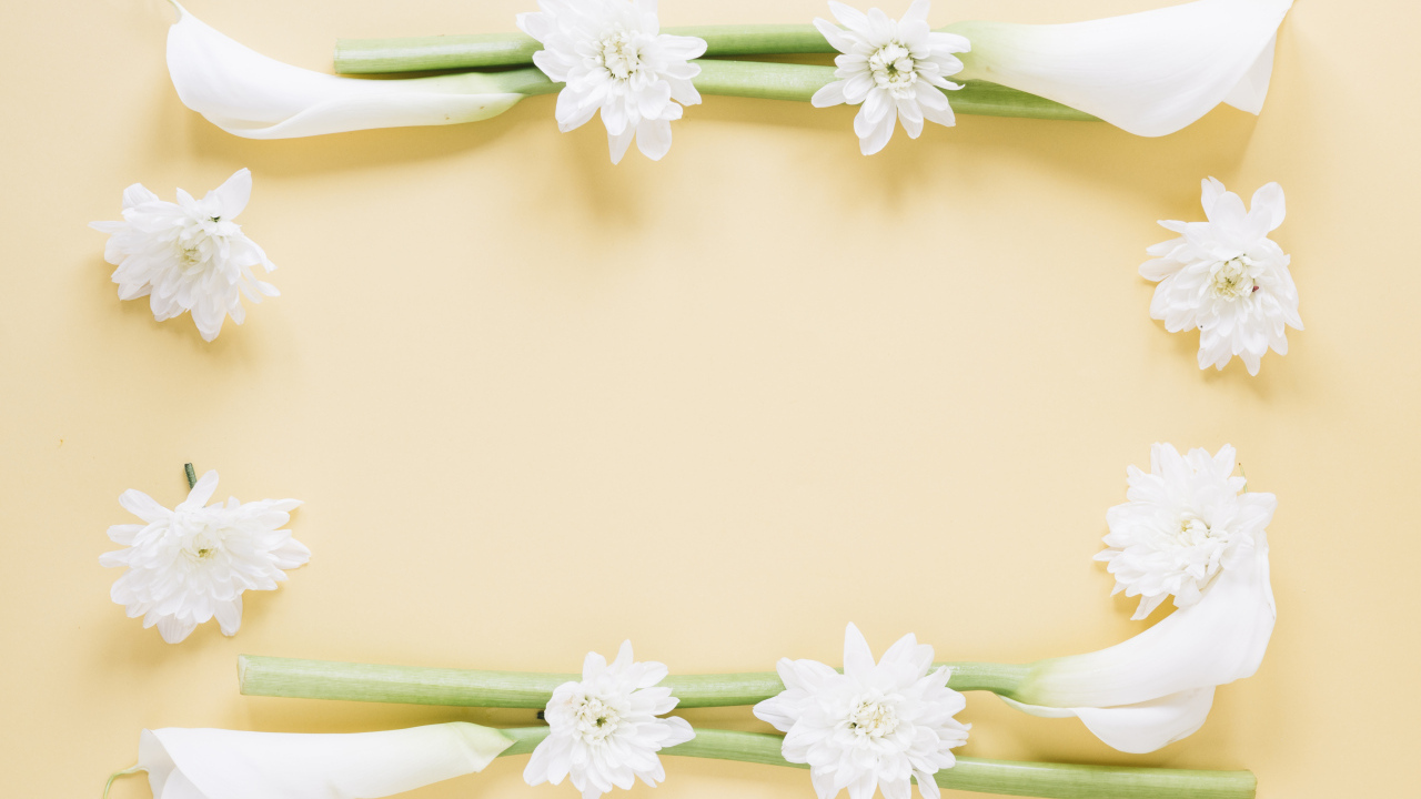 Белые каллы с хризантемами на желтом фоне