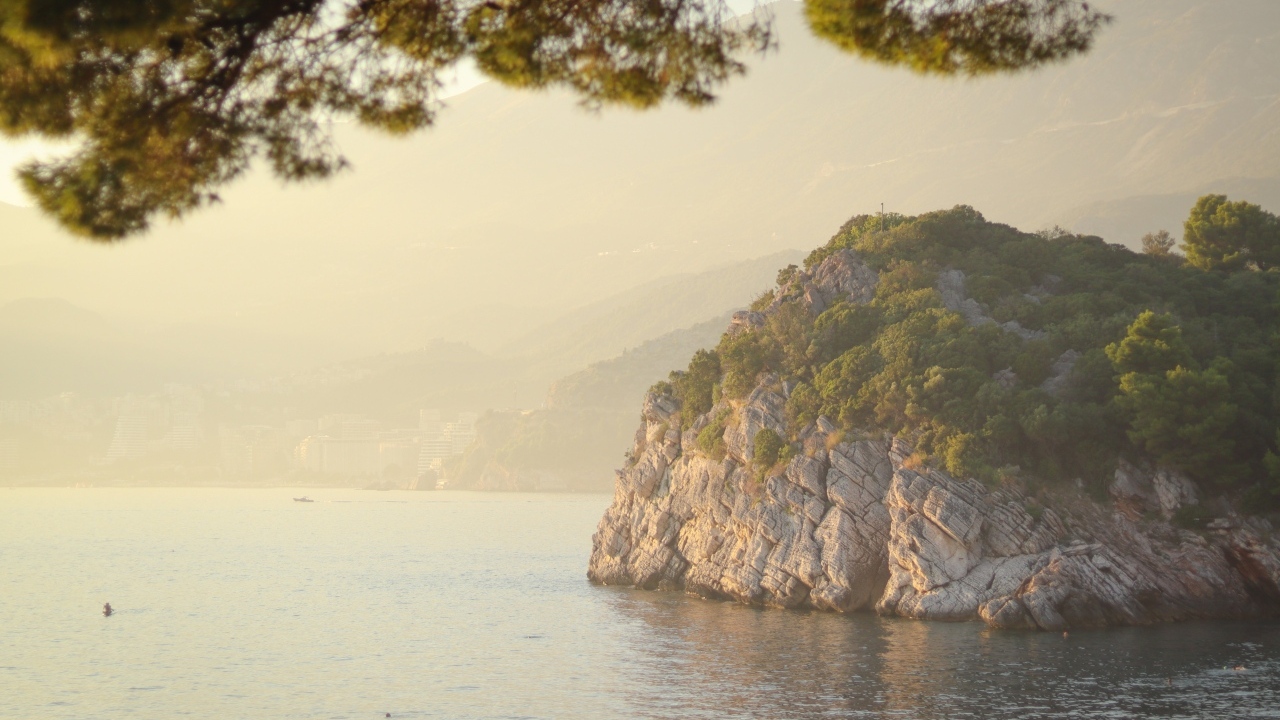 Скала покрытая зеленью на берегу океана