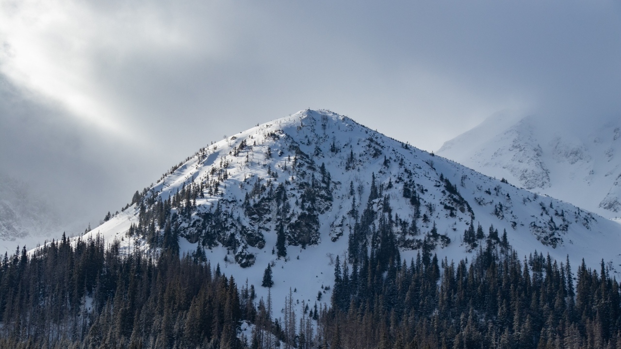 Высокая заснеженная гора под пасмурным небом