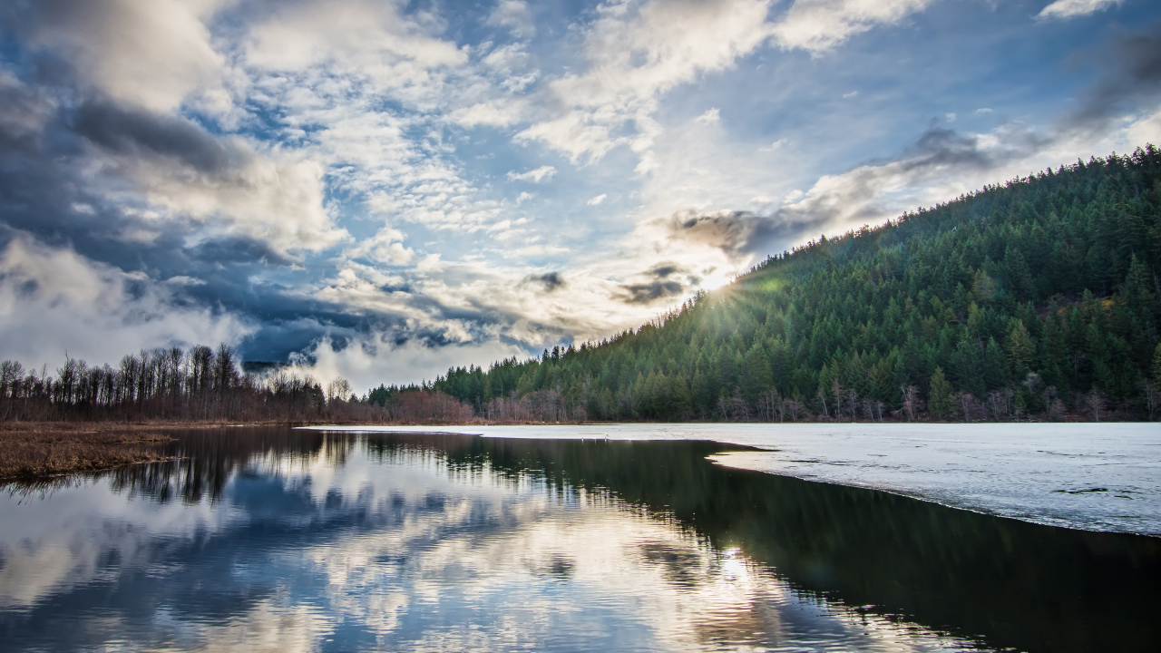 Рассвет яркого солнца над лесом у озера