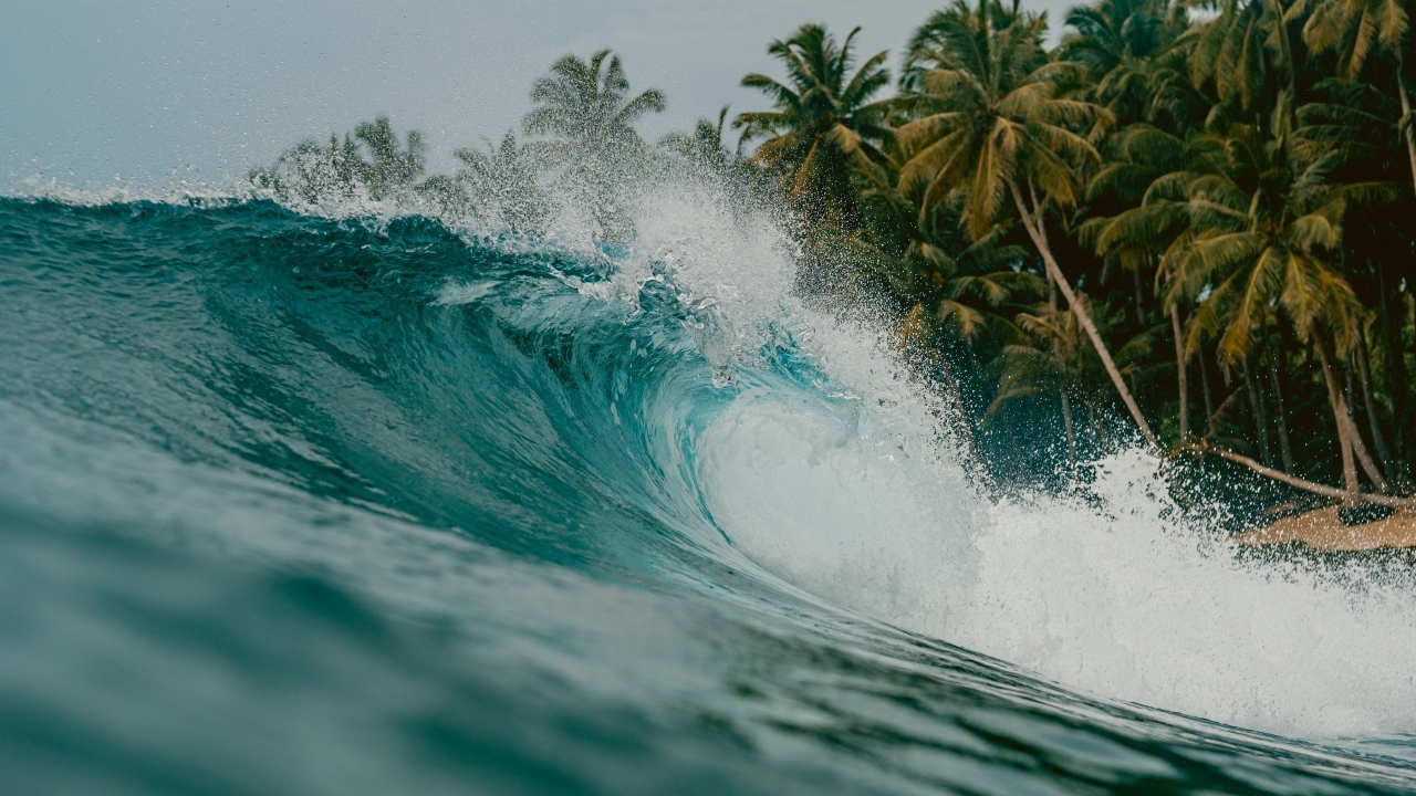 Высокая волна с пальмами на берегу моря
