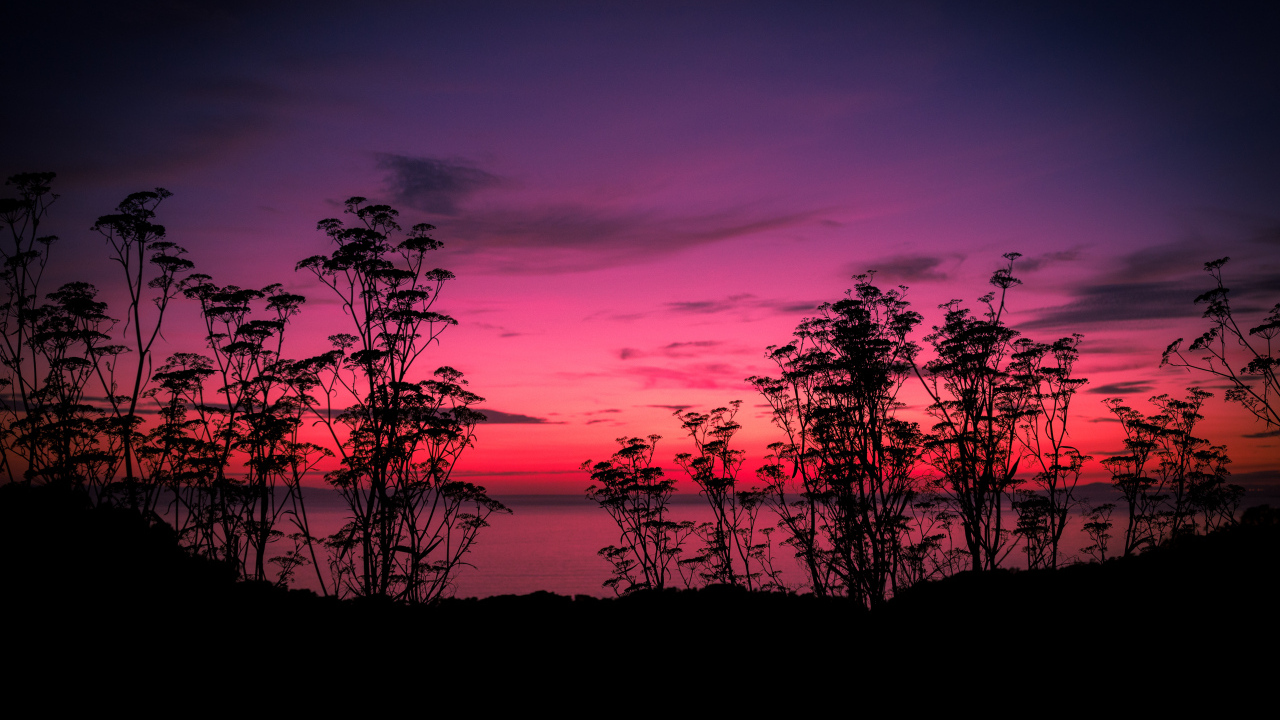 Розовый закат у тихого озера
