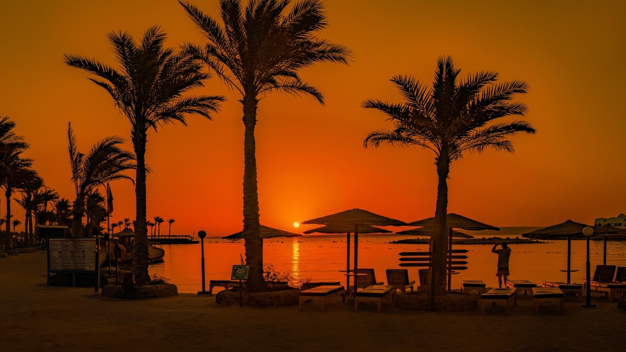 Закат солнца над морем на фоне пальм