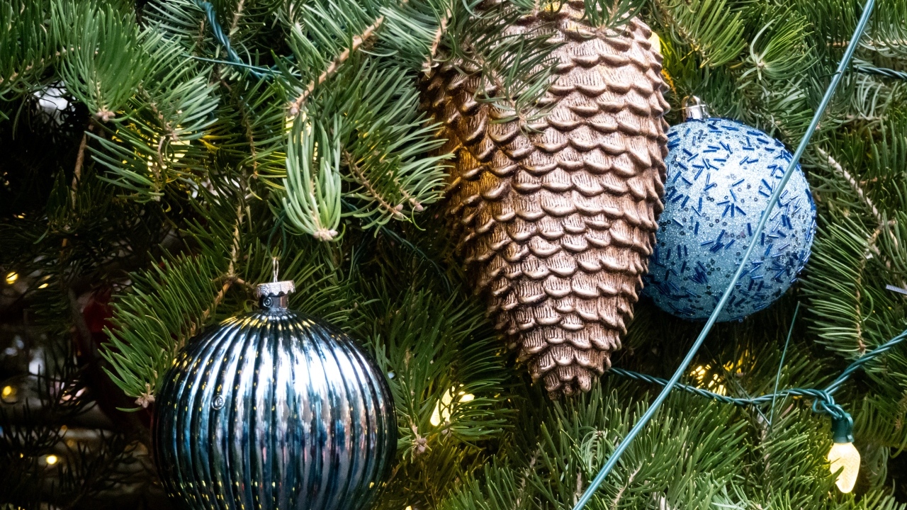 Красивые игрушки на зеленых еловых ветках