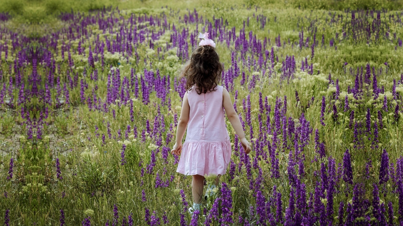 Девочка в розовом платье гуляет по полю с цветами