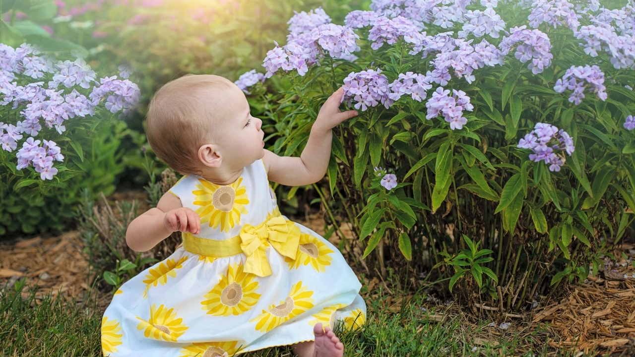 Маленькая девочка в платье сидит у цветов флокса